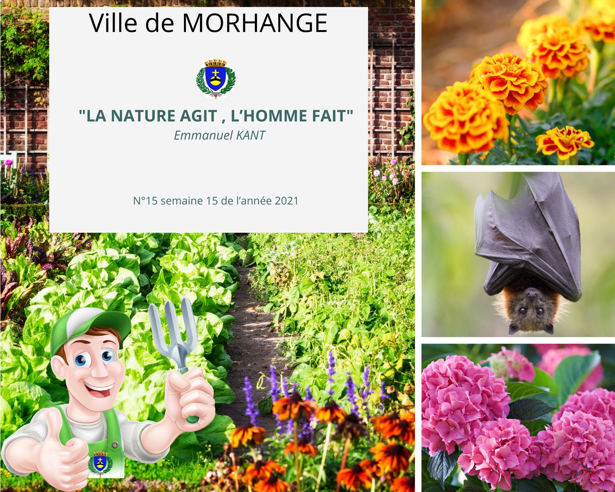 La nature agit, l'homme fait : Semaine 15