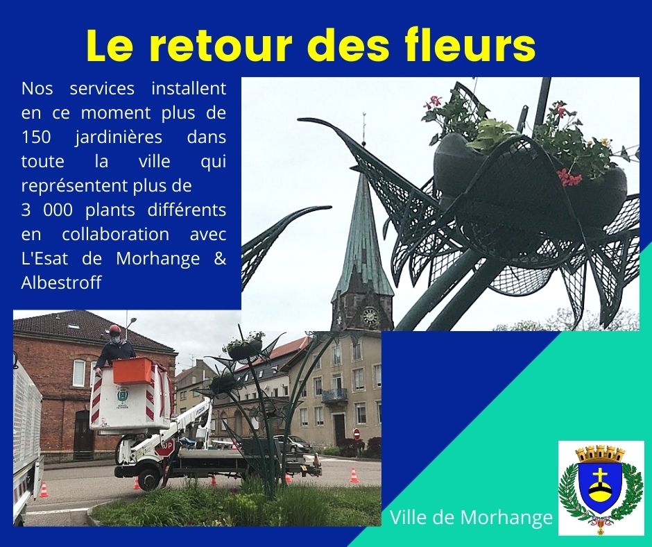 Installation de jardinieres dans la ville