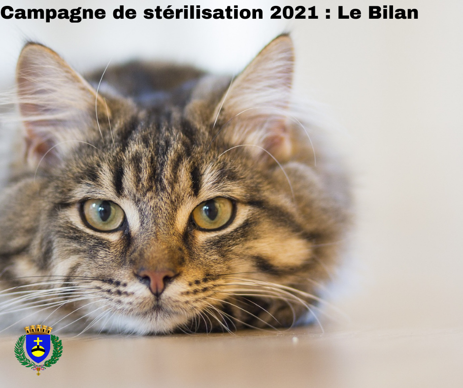 Campagne de stérilisation 2021 : Le bilan 