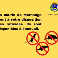 Raticides à votre disposition