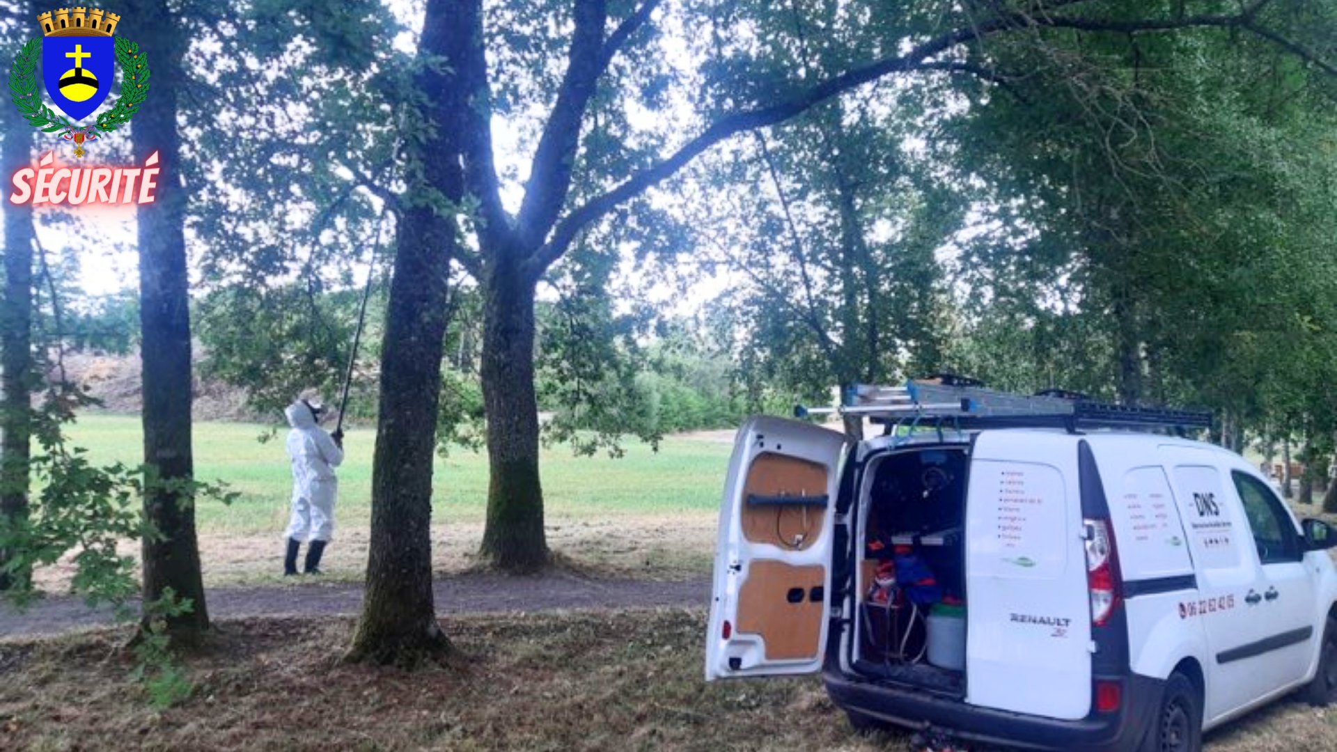 Traitement des arbres susceptibles d'abriter des chenilles processionnaires