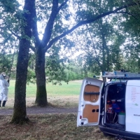 Traitement des arbres susceptibles d'abriter des chenilles processionnaires