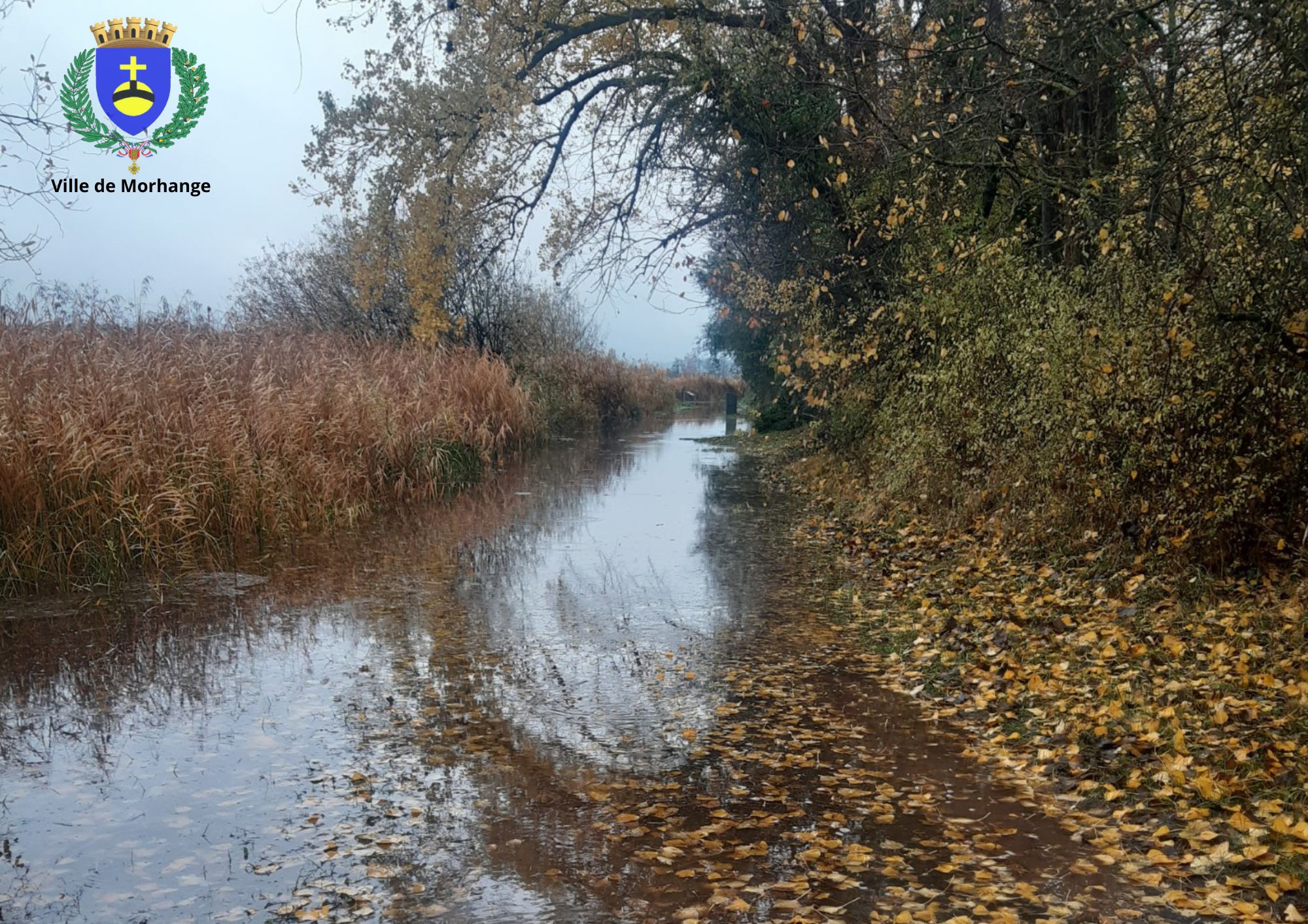 Les chemins de promenades autour de l'étang sont actuellement inaccessibles.