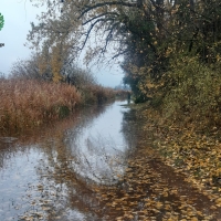 Les chemins de promenades autour de l'étang sont actuellement inaccessibles.