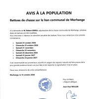 Battues de chasse sur le ban communal de Morhange