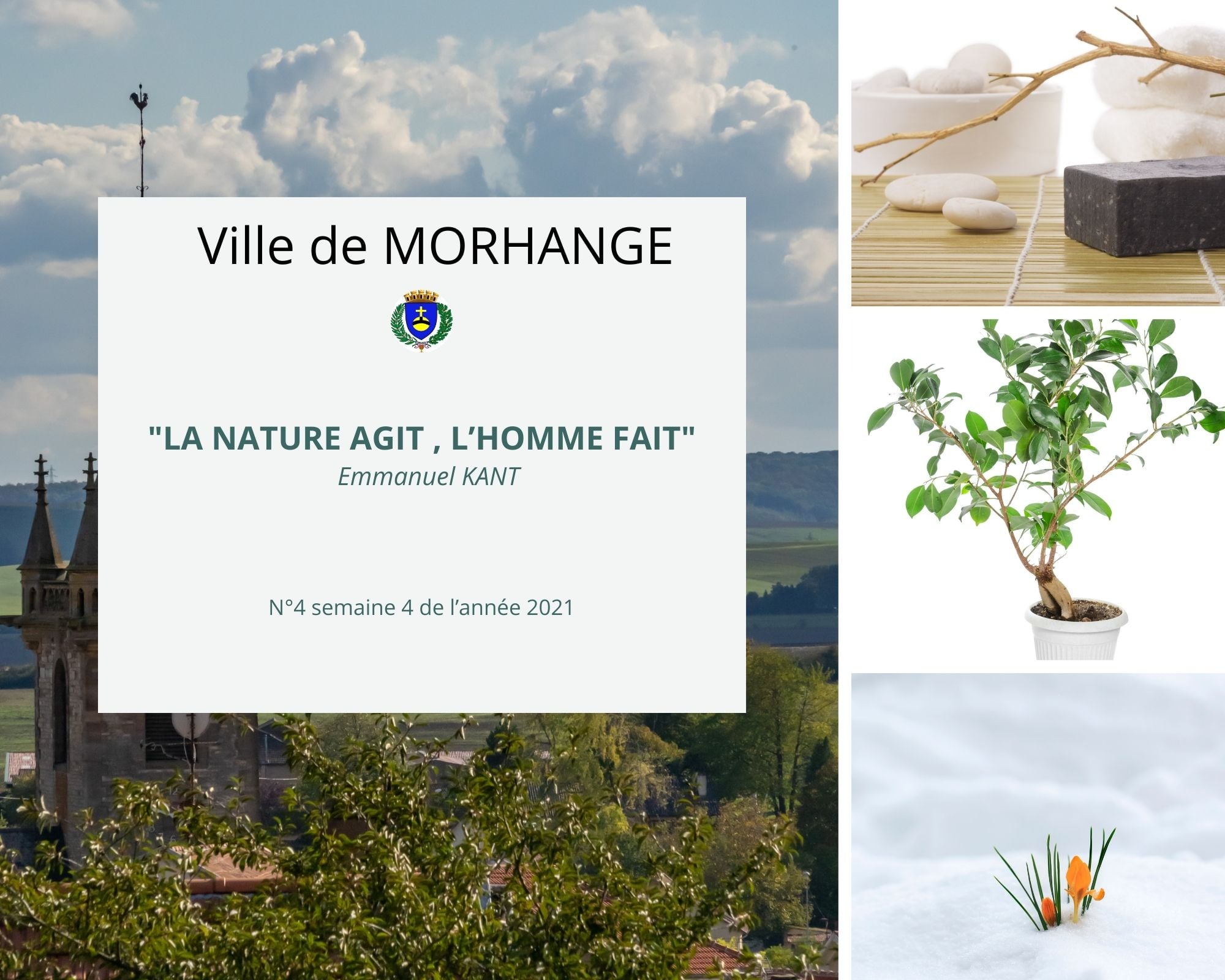 la nature agit l'homme fait - semaine 4